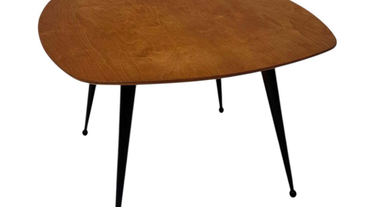 Mid-Century Modern TB16 Coffee Table by Cees Braakman for Pastoe, 1953